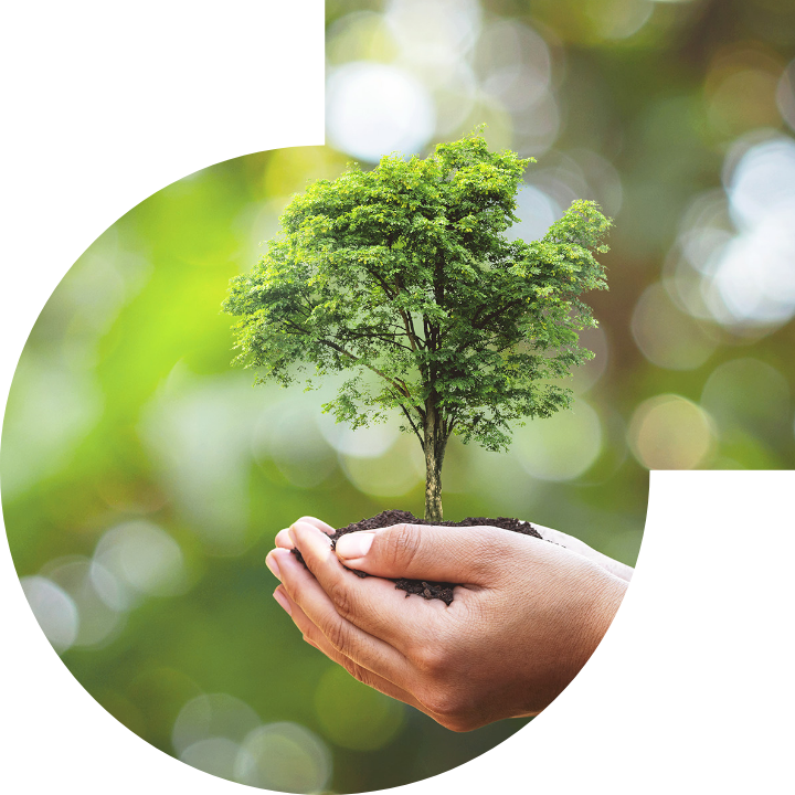 关怀人类、文化、环境与社会